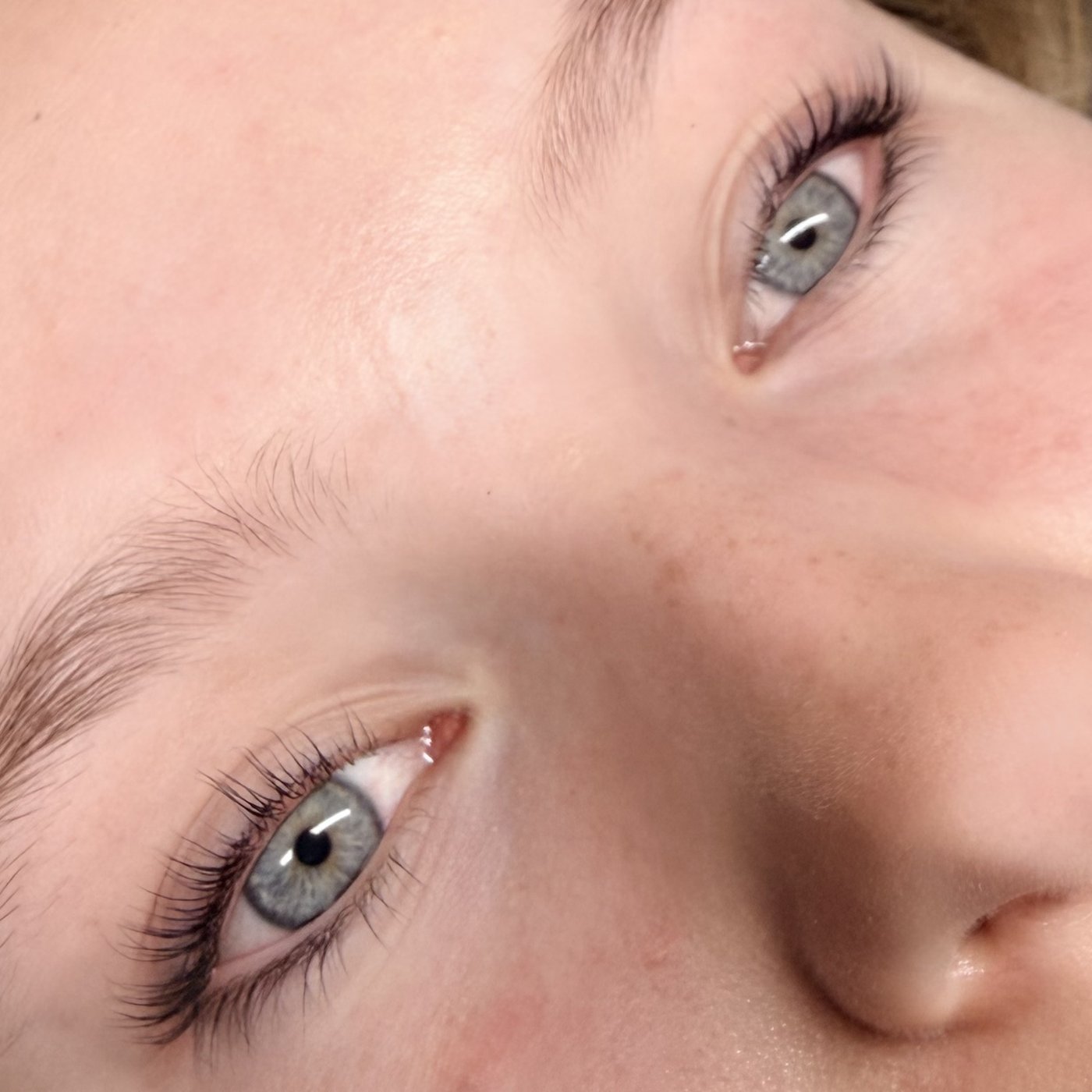 Lifted and tinted lashes by The Nail Editor in Godmanchester