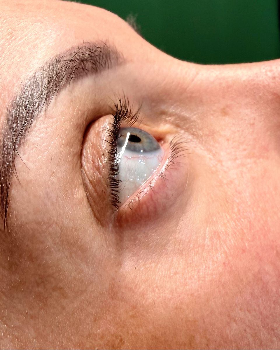 Lifted and tinted lashes by The Nail Editor