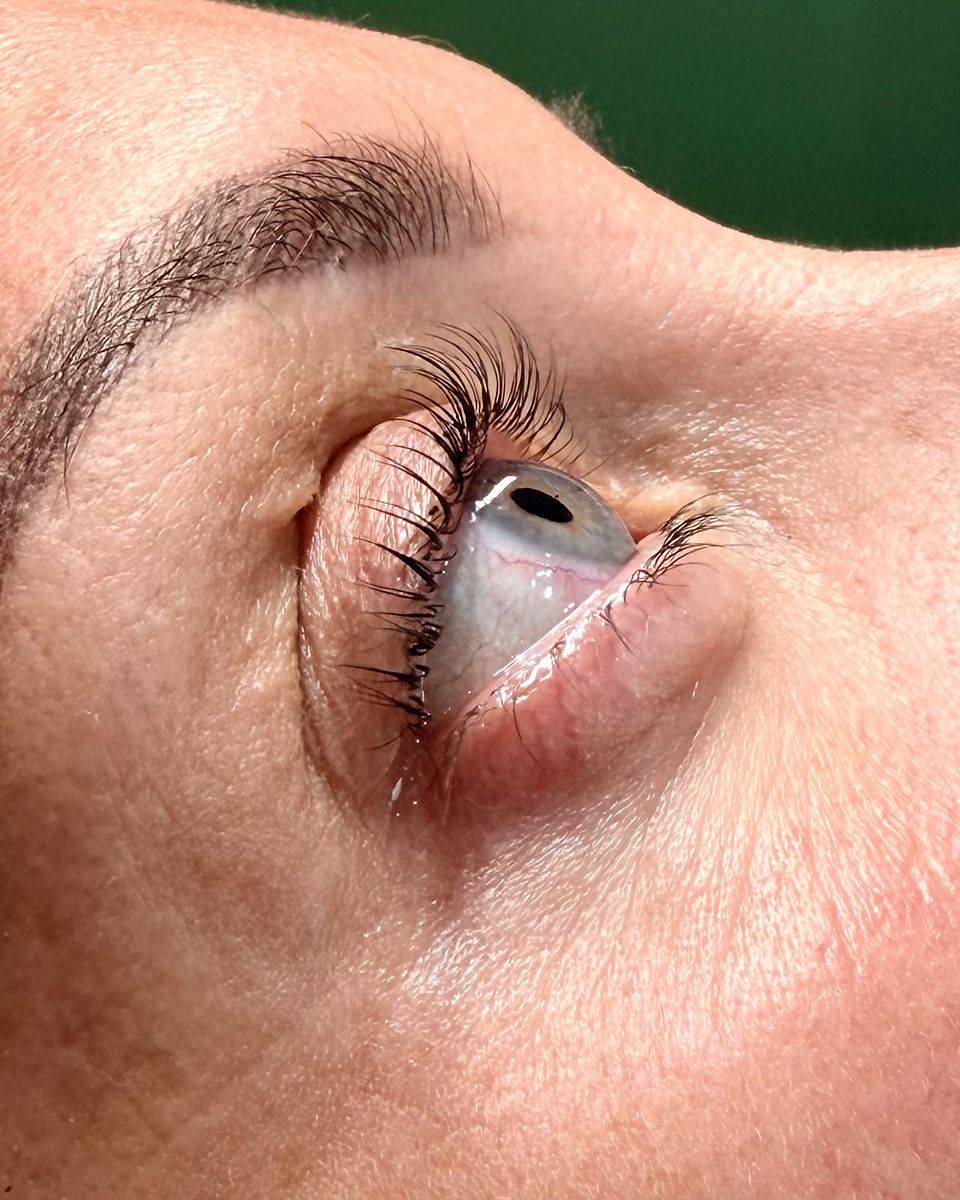 Lifted and tinted lashes by The Nail Editor
