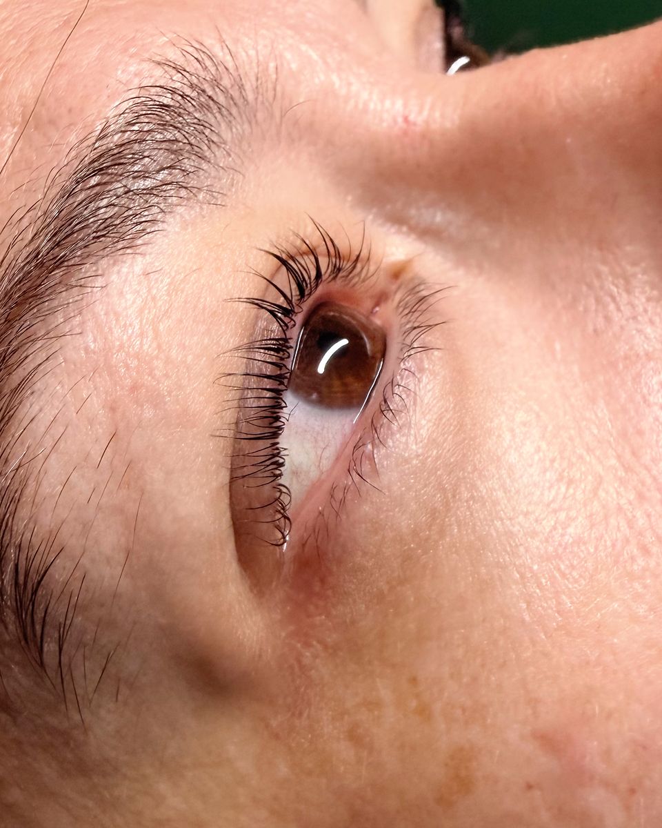 Lifted and tinted lashes by The Nail Editor